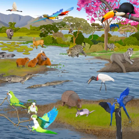 Pohyblivé puzzle Oáza klidu Oblíbený