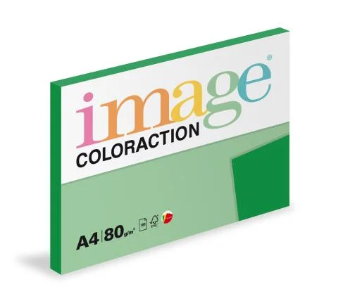Papír barevný Color A4/80gr Dublin sytě zelený DG47 Top Prodej
