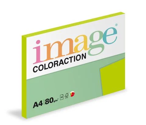 Oblíbený Papír barevný Color A4/80gr Java středně zelený MA42