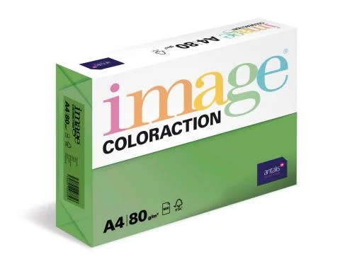 Vysoce Kvalitní Papír barevný Color A4/80gr Dublin sytě zelený DG47
