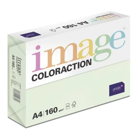 Papír barevný Color A4/160gr Jungle pastelově světle zelený GN27 Super Cena