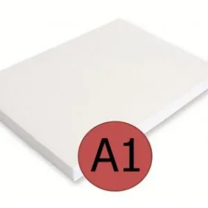 Akční Cena Kreslicí karton bílý A1/220g/100lis