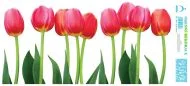 Dekorační fokie na okno Pás tulipánů Nová Kolekce